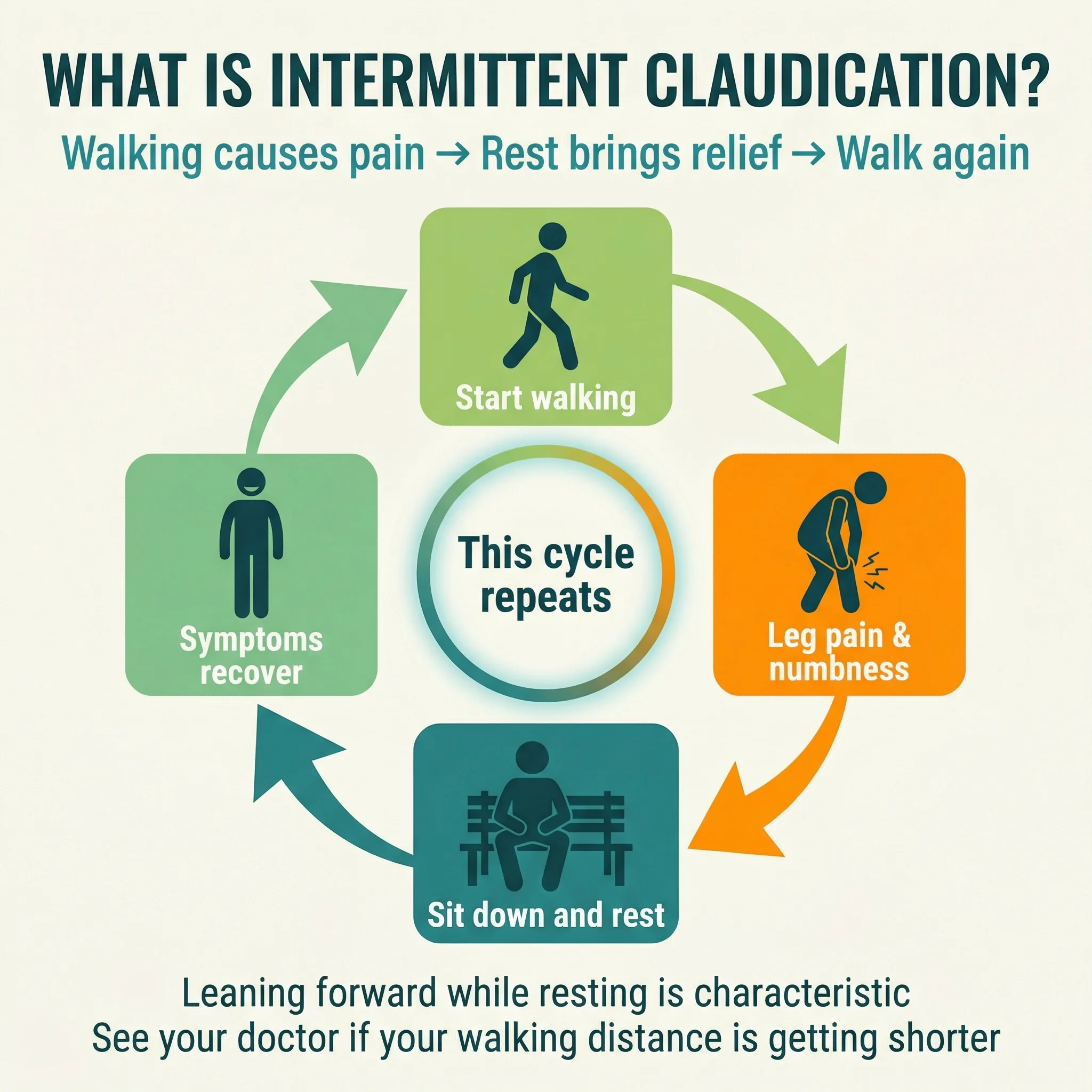 What is intermittent claudication?